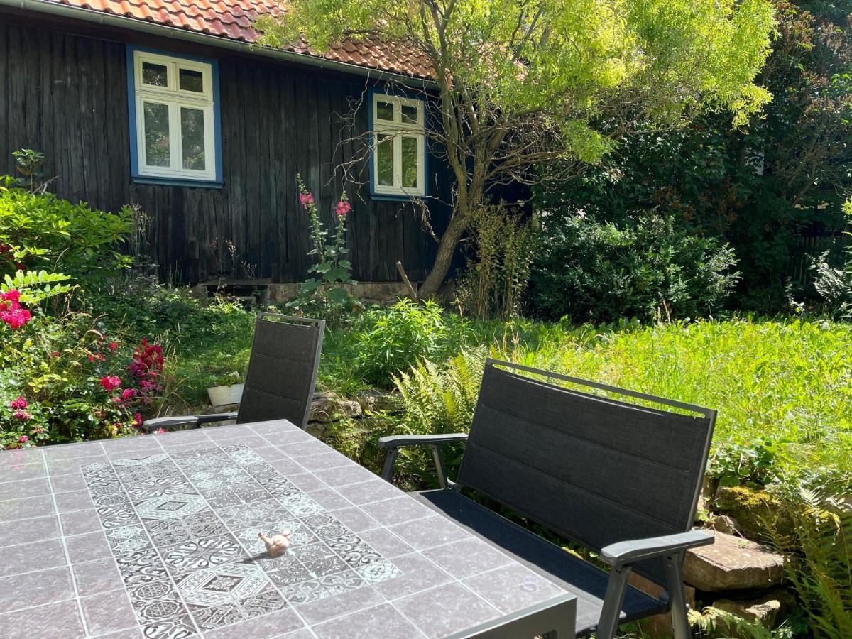 "Kleinstes Haus Von Blankenburg" Urlaub In Einem Einzigartigen Baudenkmal Villa Blankenburg  Eksteriør billede