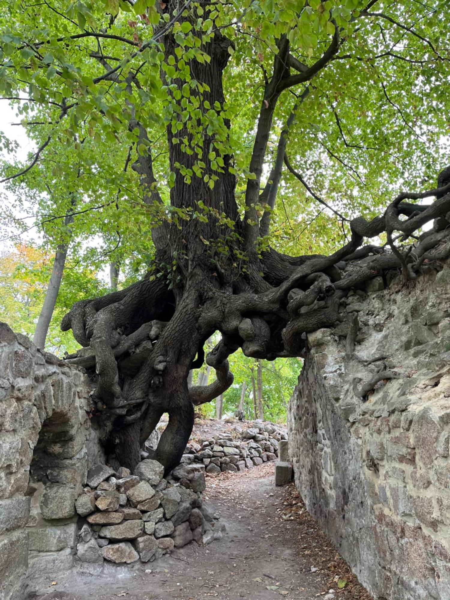 "Kleinstes Haus Von Blankenburg" Urlaub In Einem Einzigartigen Baudenkmal Villa Blankenburg  Eksteriør billede
